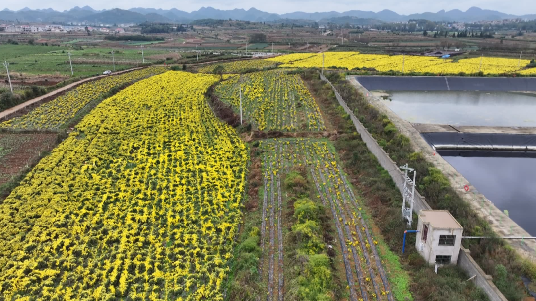 dD0xNzYzMjYxMDM5X3I9YWM4ODQ2NDFfdz0xMDgwX3E9MTAwX2U9cG5n.webp 1.png