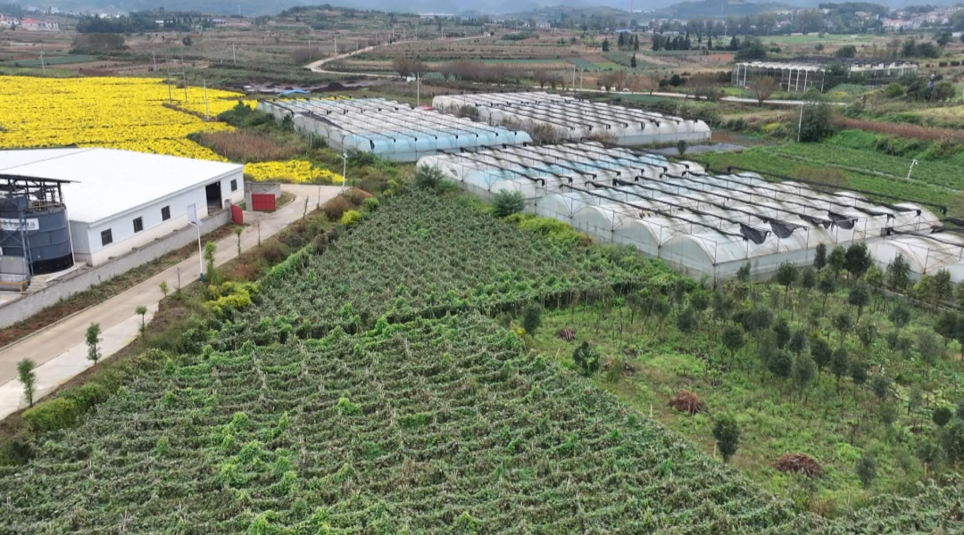 dD0xNzYzMjYxMDU1X3I9NWIzNTgxNjhfdz0xMDgwX3E9MTAwX2U9cG5n.webp 2.png