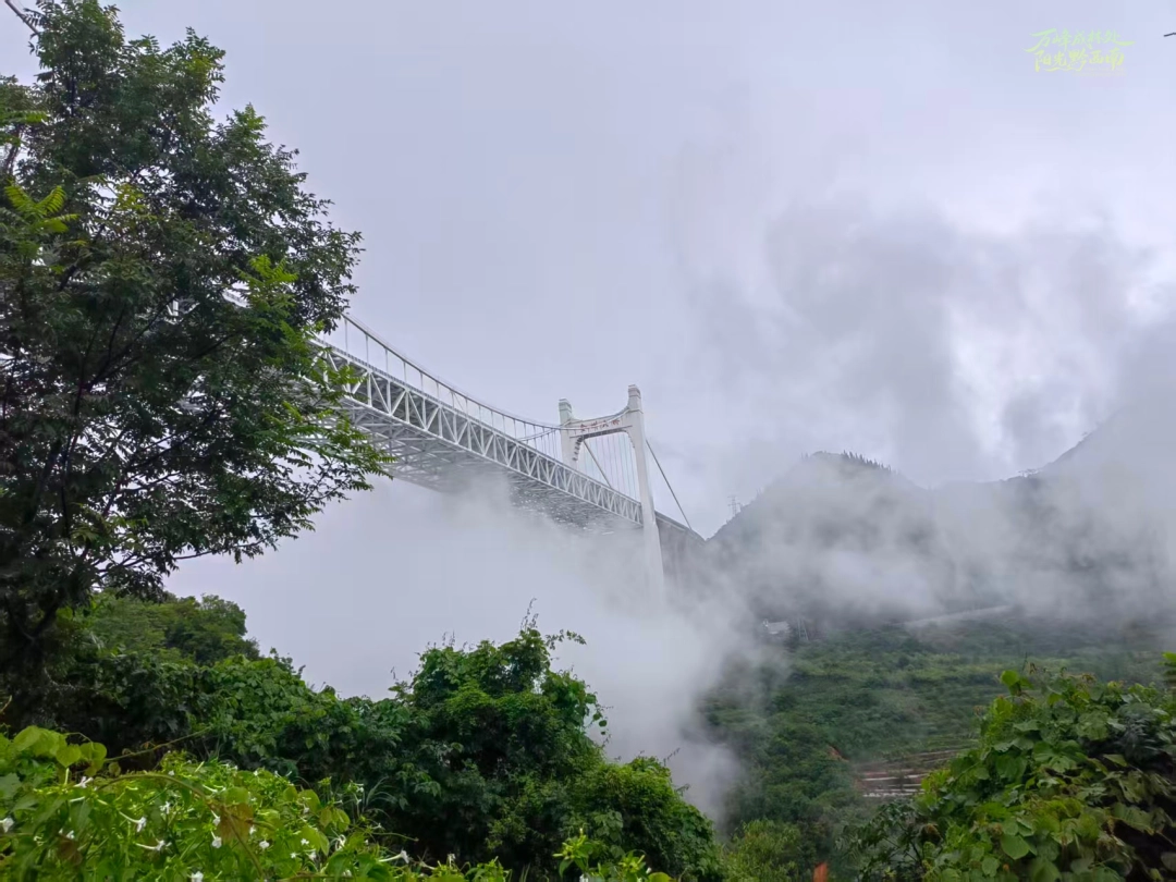 dD0xNzYzNTM3NjMyX3I9NTA5OTFiMDZfdz0xMDgwX3E9MTAwX2U9anBn.webp c3525b32f1f544b8baf1c87a88bbfdbd.jpg