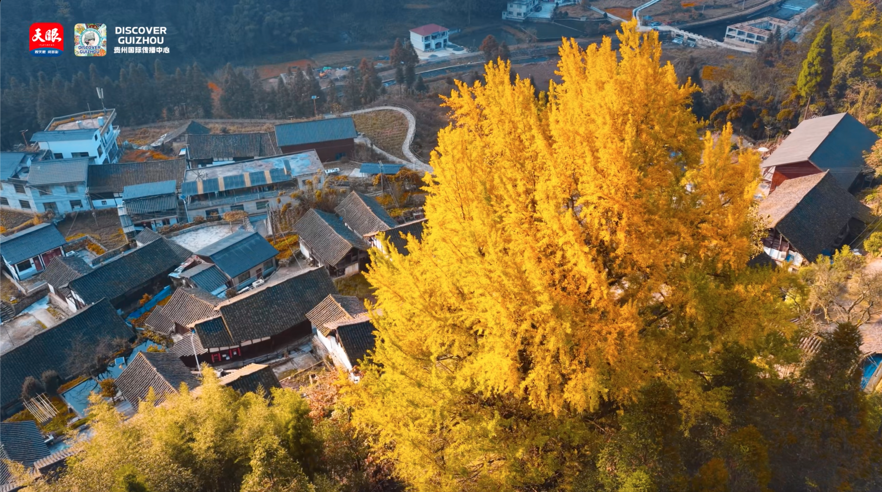 Снимок экрана 2025-11-20 в 11.41.52.png