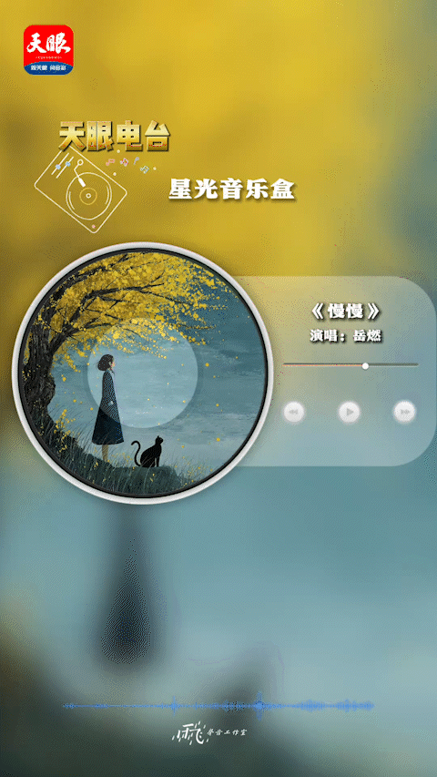 動圖 播放器模版.gif