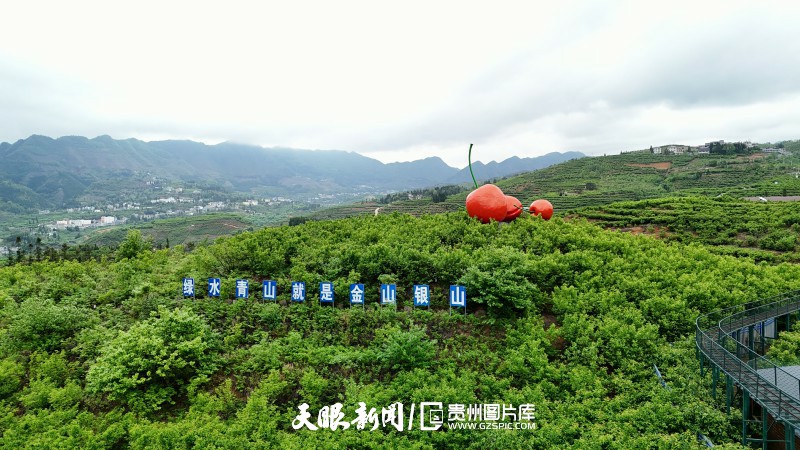 868039-2025年4月24日，航拍纳雍县厍东关乡陶营村全景。.jpg