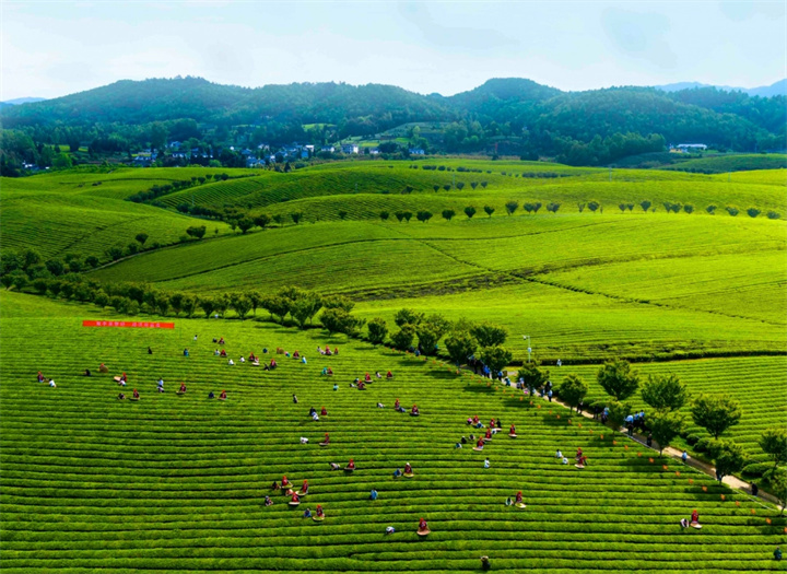 dD0xNzY0MDI1MjA1X3I9MWQyMWI5NDhfdz03MjBfcT0xMDBfZT1qcGc=.webp 39.jpg