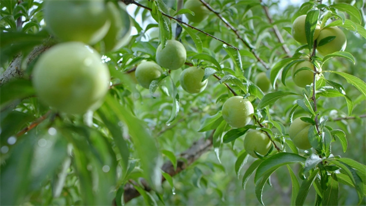 dD0xNzY0MDI1ODA3X3I9MDk0ZGU2M2Jfdz03MjBfcT0xMDBfZT1qcGc=.webp 42.jpg