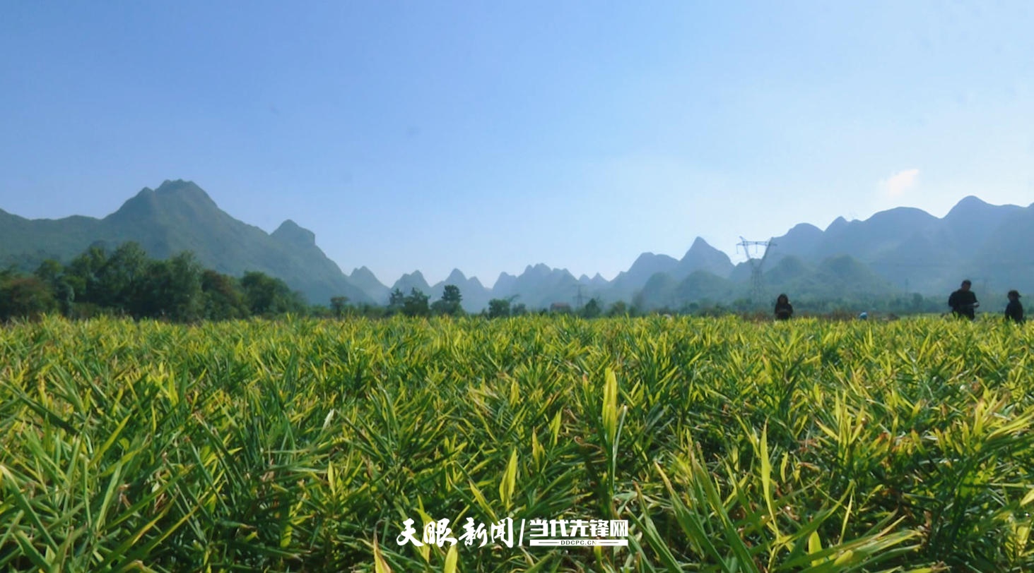 dD0xNzY0MDc1MjI3X3I9Mjg2M2ZmMjhfdz0xMDgwX3E9MTAwX2U9anBn.webp 2.jpg