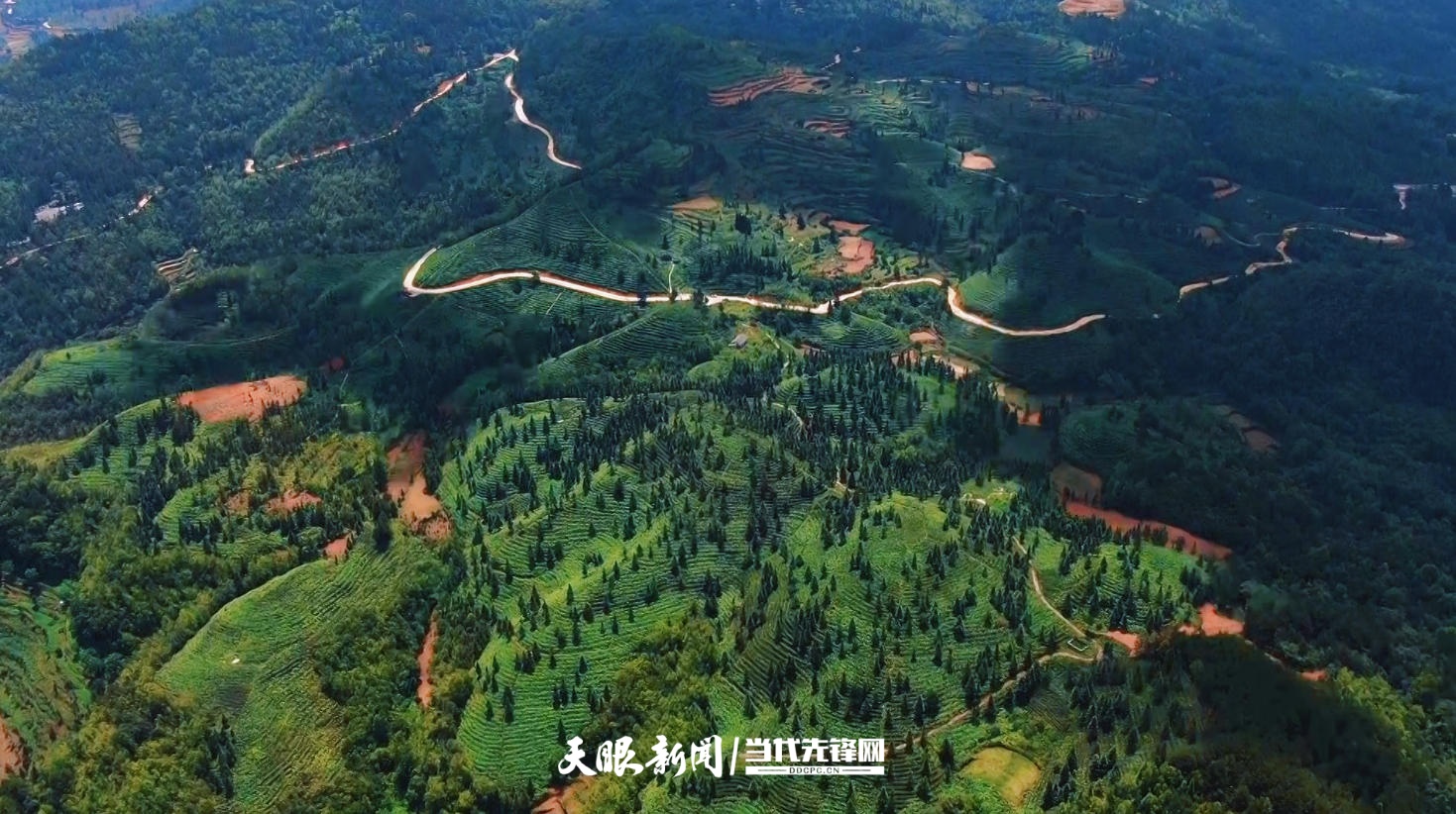 dD0xNzY0MDc1NDc5X3I9YzZjZmY3YTlfdz0xMDgwX3E9MTAwX2U9anBn.webp 4.jpg