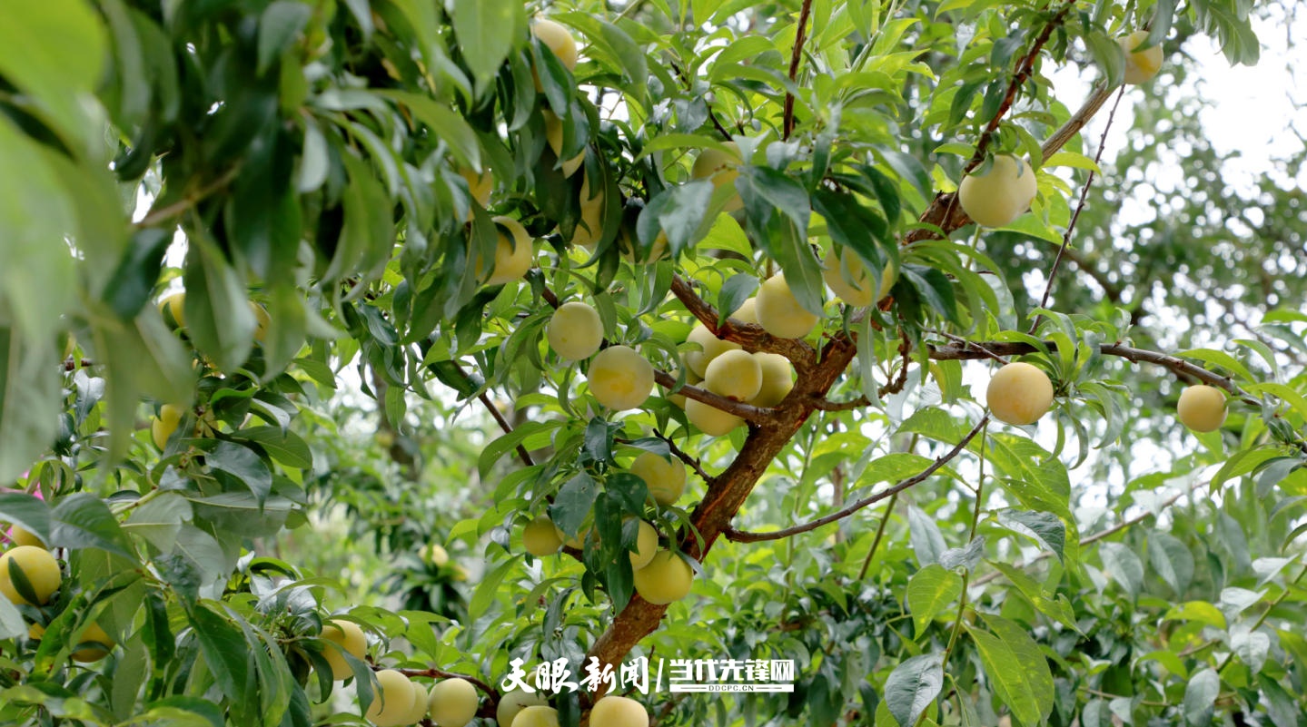 dD0xNzY0MDc1Njc2X3I9NDBlODM2ZGVfdz0xMDgwX3E9MTAwX2U9anBn.webp 8.jpg