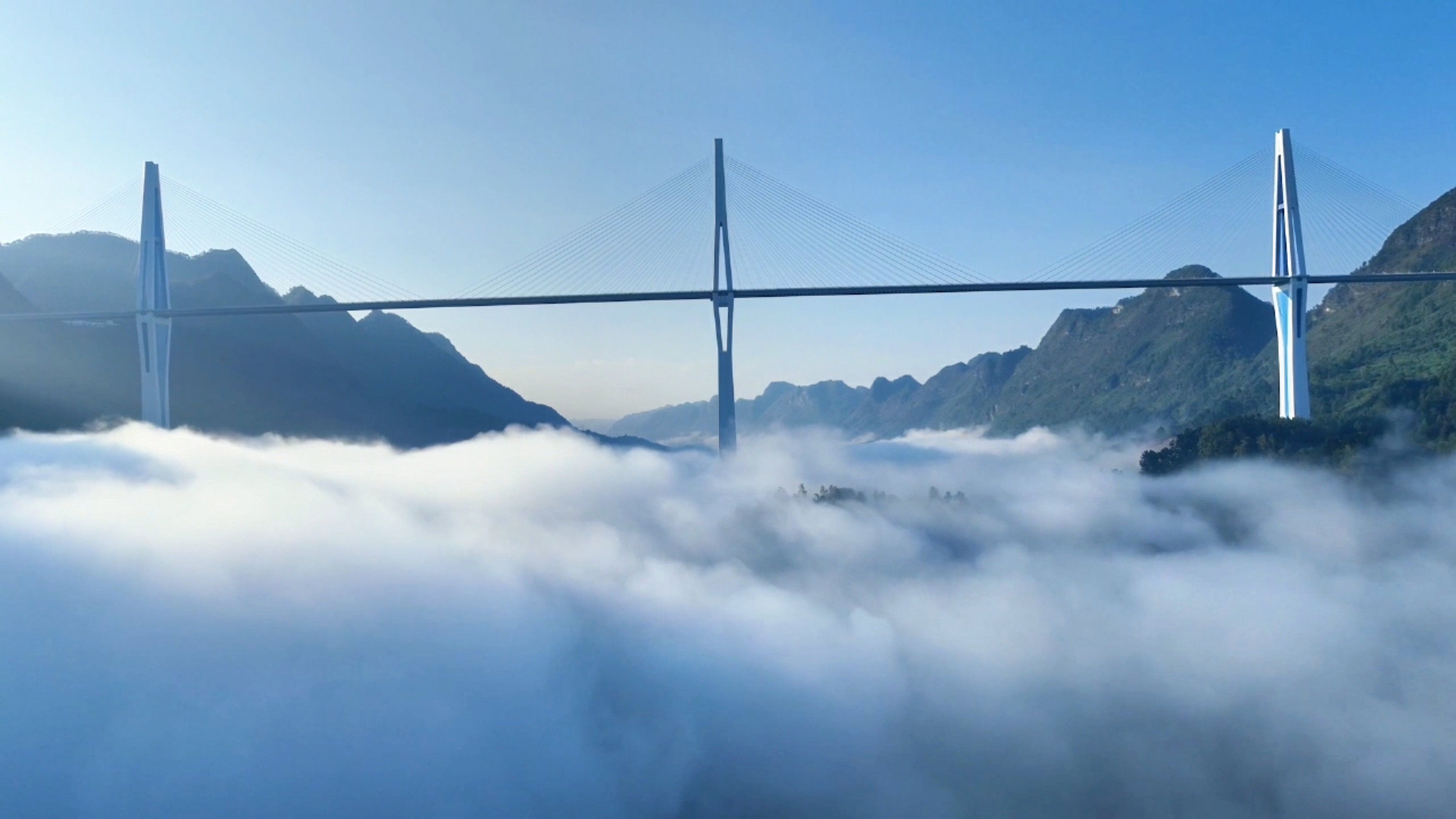 17641710061134.png 11月26日.png