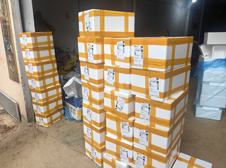 17642201113710.png image.png