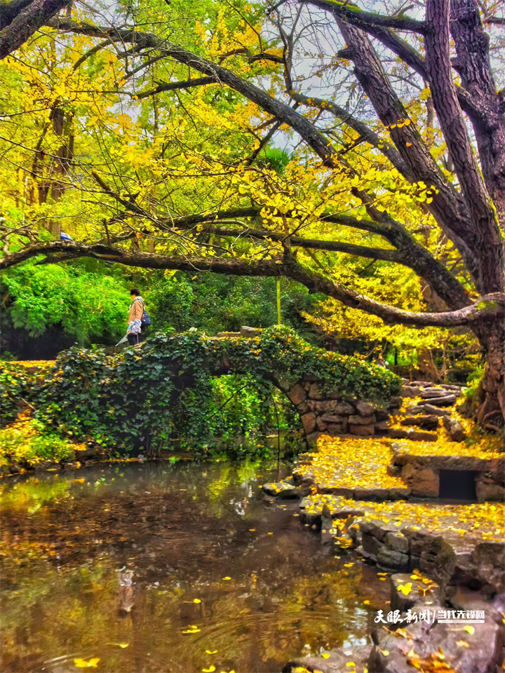 dD0xNzY0MTk1ODY3X3I9YWFjYTEzZmZfdz03MjBfcT0xMDBfZT1qcGc=.webp 3 盘兴高铁沿线的妥乐村。贵州日报天眼新闻记者 桂榕 摄.jpg