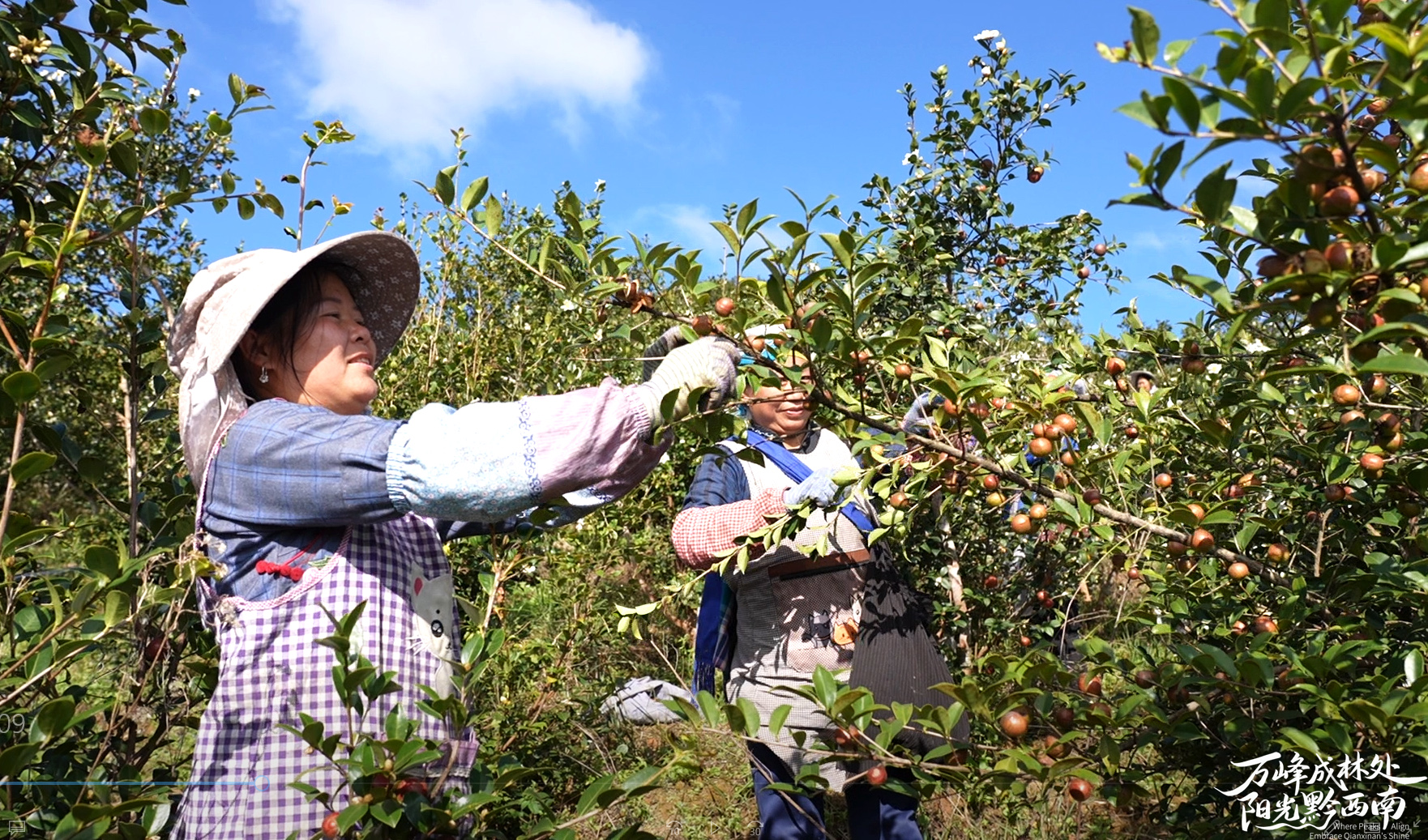 dD0xNzY0MzY2NDY5X3I9MGEwMjA0NDRfdz0xMDgwX3E9MTAwX2U9anBn.webp 56161df7f380c0b412936f04e285b454.jpg