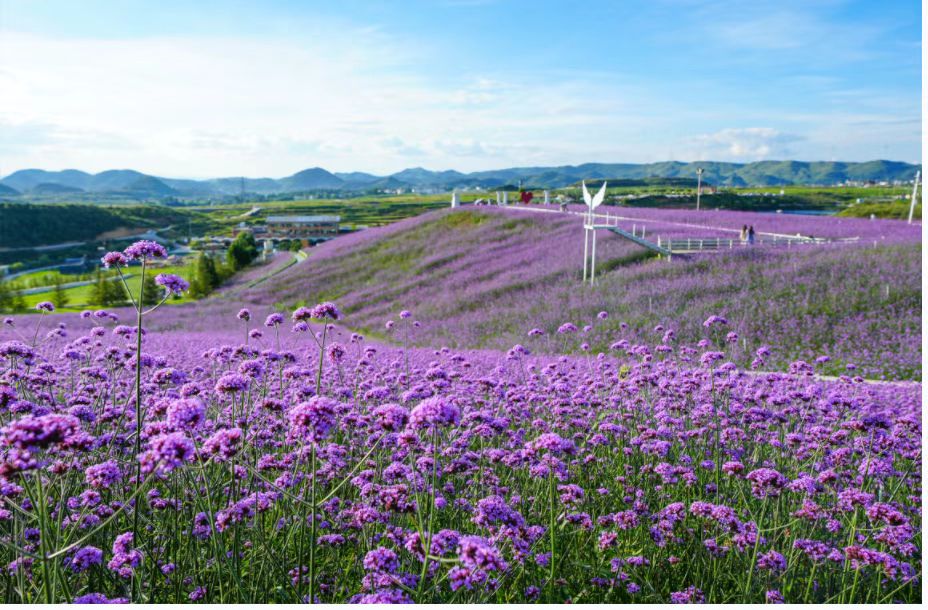 dD0xNzY0MzY2NTM1X3I9MGMwMDBlYTNfdz05MjhfcT0xMDBfZT1qcGc=.webp 0994e35989f3c160e7f0a4348e6bacac.jpg