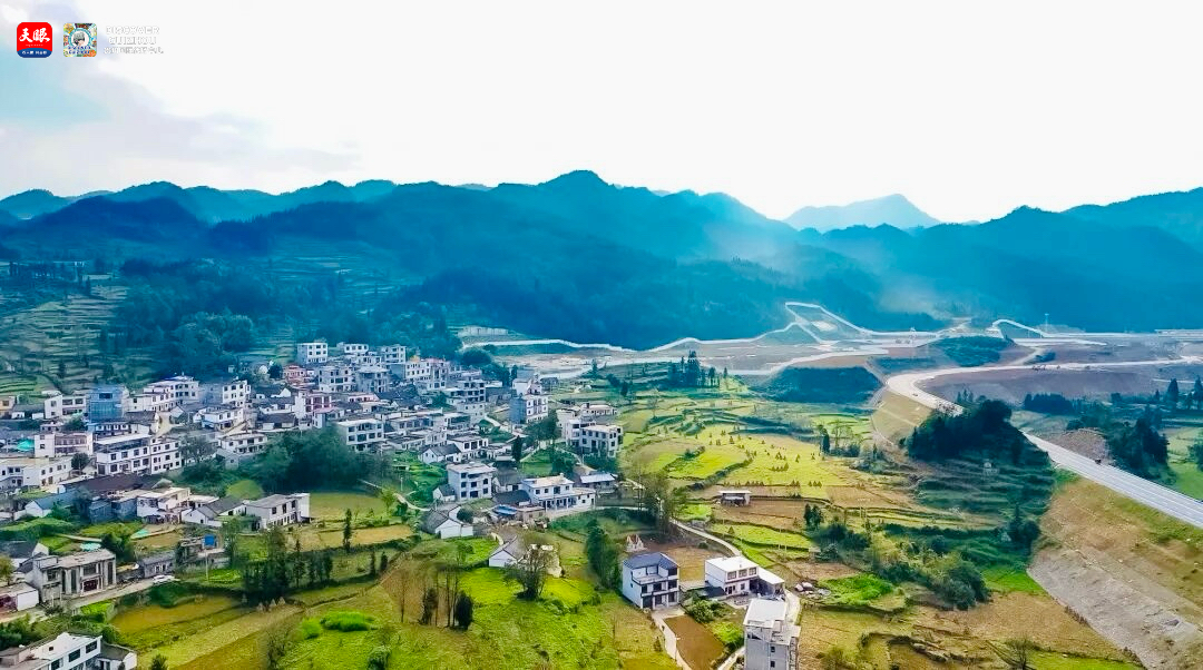 17645940907384.JPG IMG_5287.JPG