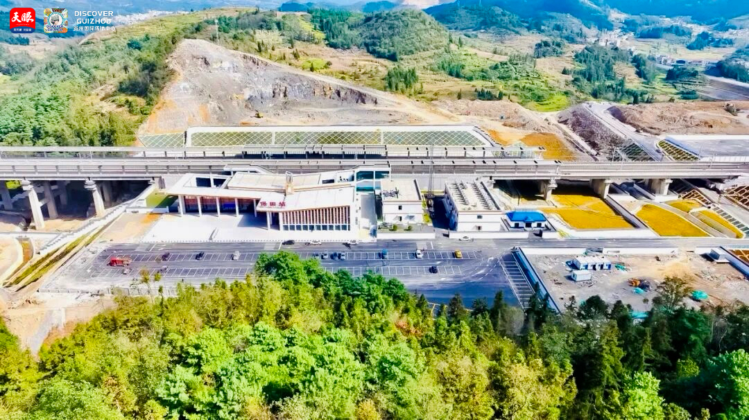 17645941394864.JPG IMG_5288.JPG