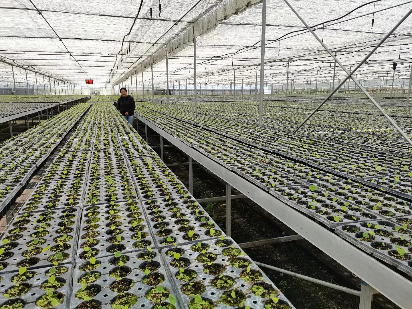 dD0xNzY0NTg1OTc4X3I9YzI2NzY2MDZfdz0xMDgwX3E9MTAwX2U9cG5n.webp f43ea59fb7e771696fe1427318e72b0a_17645761413839.png