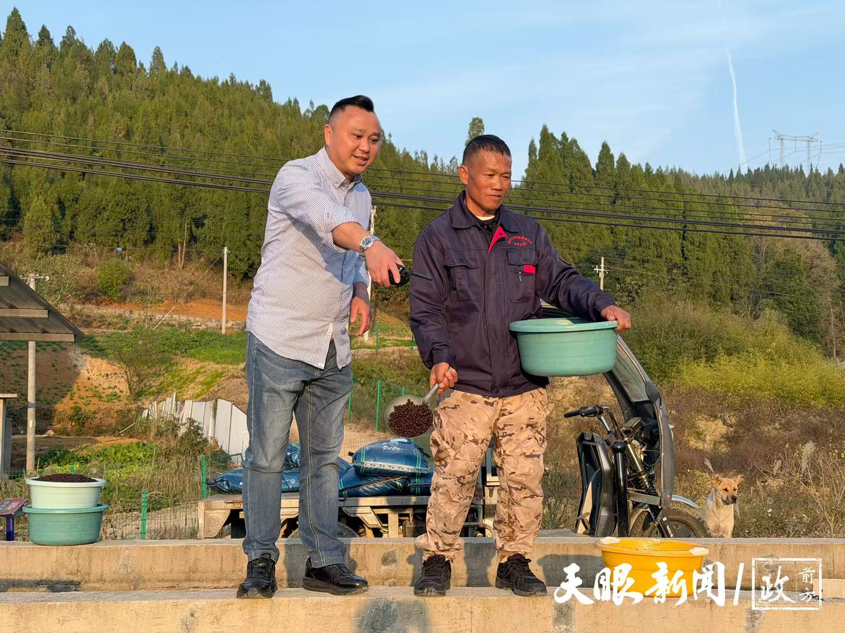 17646738151274.jpg 66c64ca6e677a1e4e9da48a35be231f9.jpg