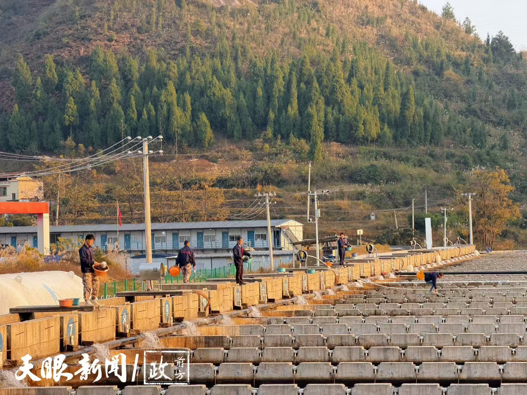 17646738895207.jpg 231fafa80387dbf08fe1de7447db28d0.jpg