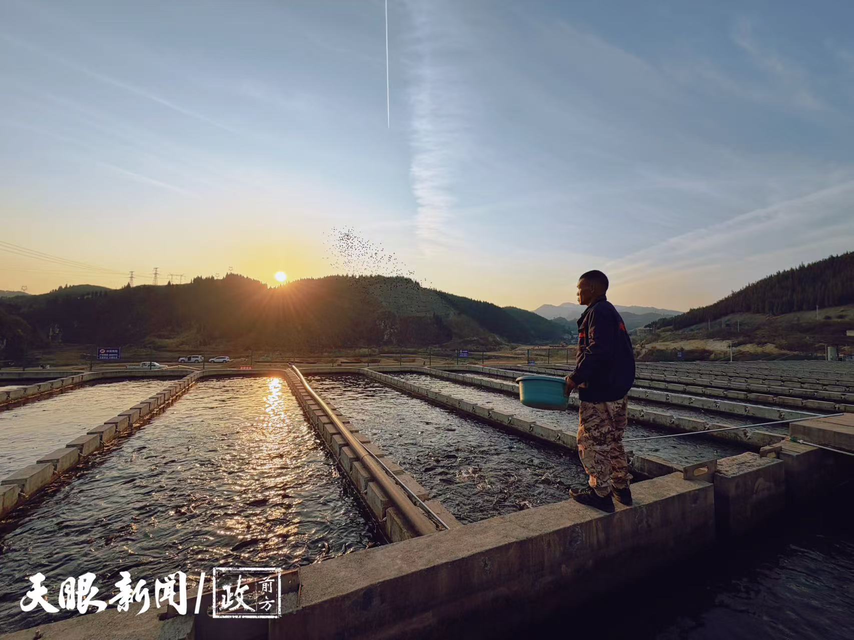 17646739029536.jpg 584de12c3c053f6a5ae3545dd3910c86.jpg