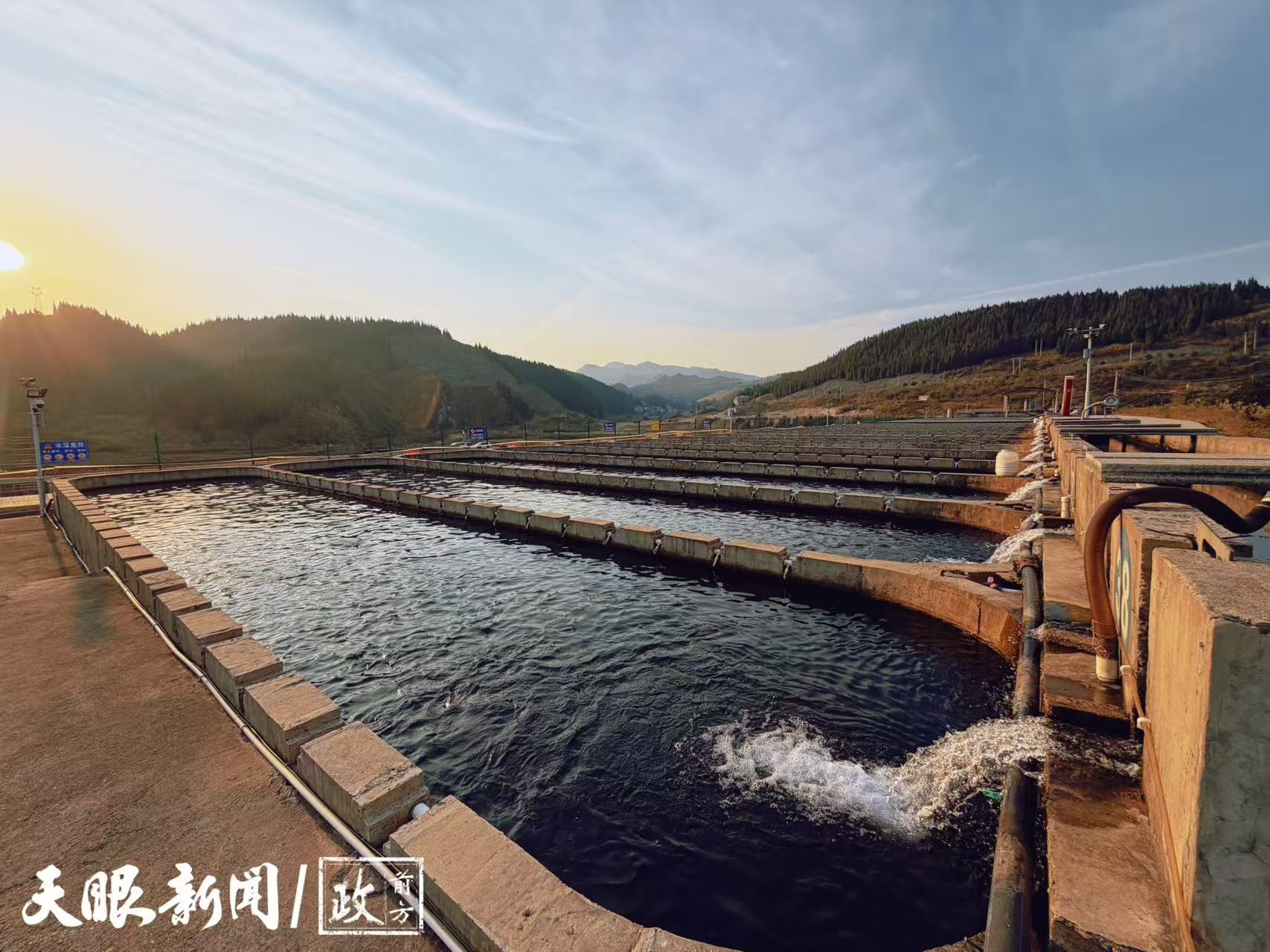 17646739169495.jpg dfd96e3465541042c0ccb10e55950f97.jpg