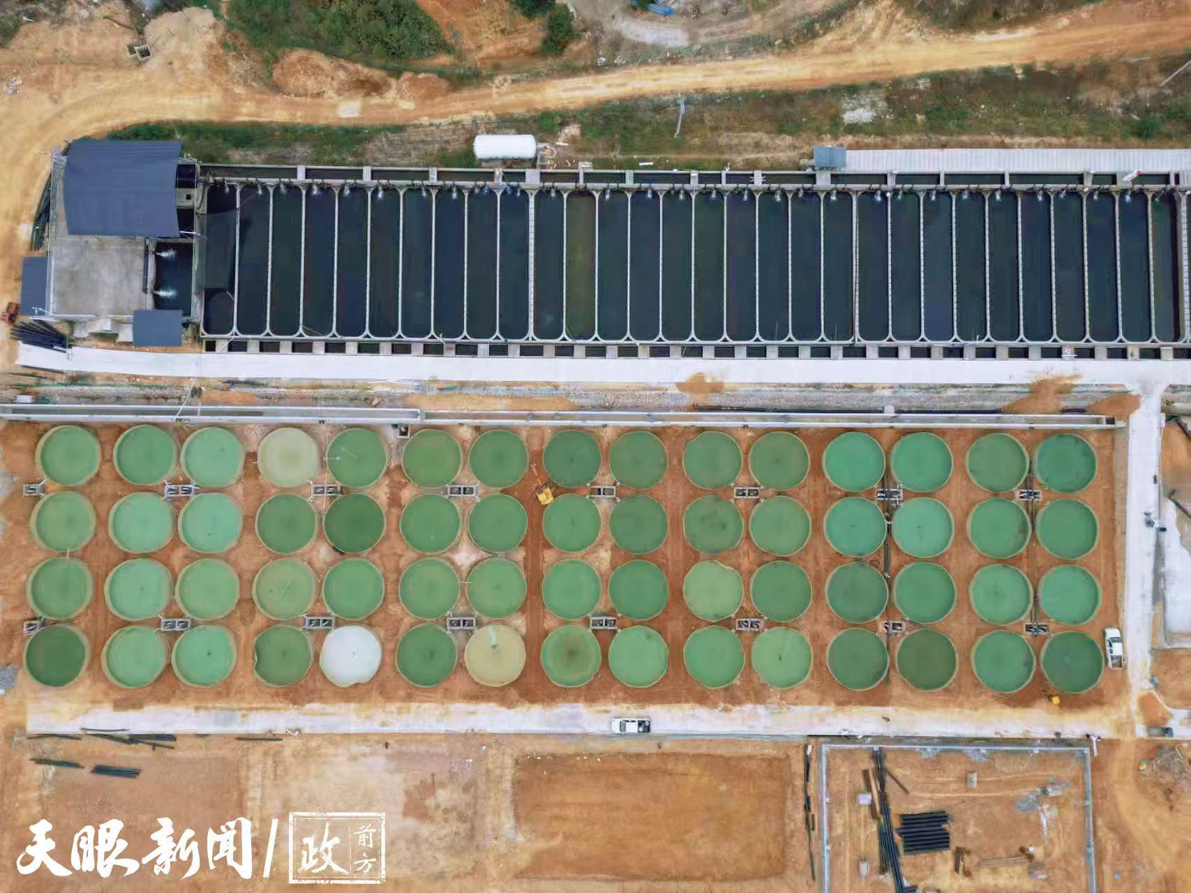 17646739778661.jpg 9d10282913aac9d47c4a74942ed520ab.jpg