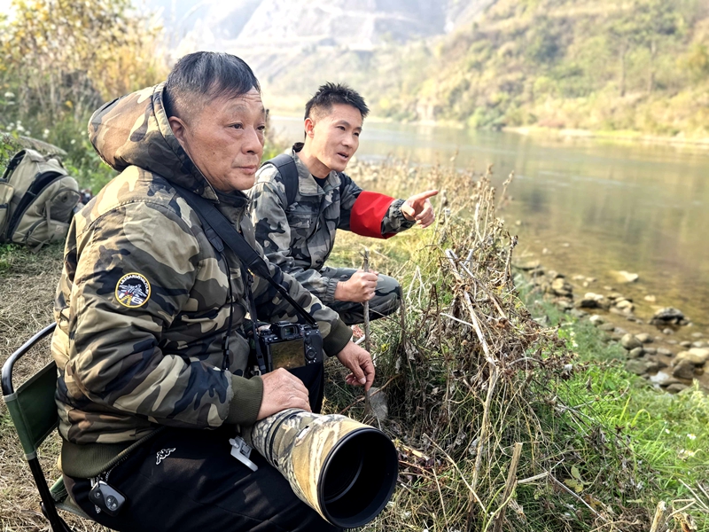 17647337554763.jpg 953e79461e2efc76bb476dfa04e0e189.jpg