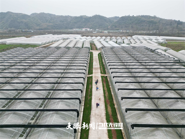 17647418261516.jpg 17647412276386.jpg