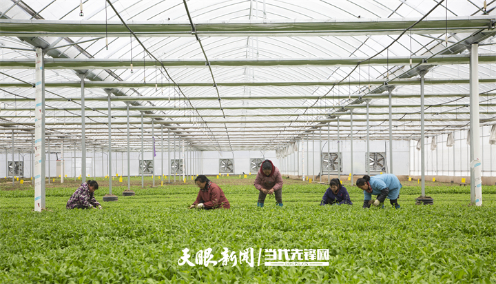 17647419165949.jpg 微信图片_20251119142709_217_6.jpg