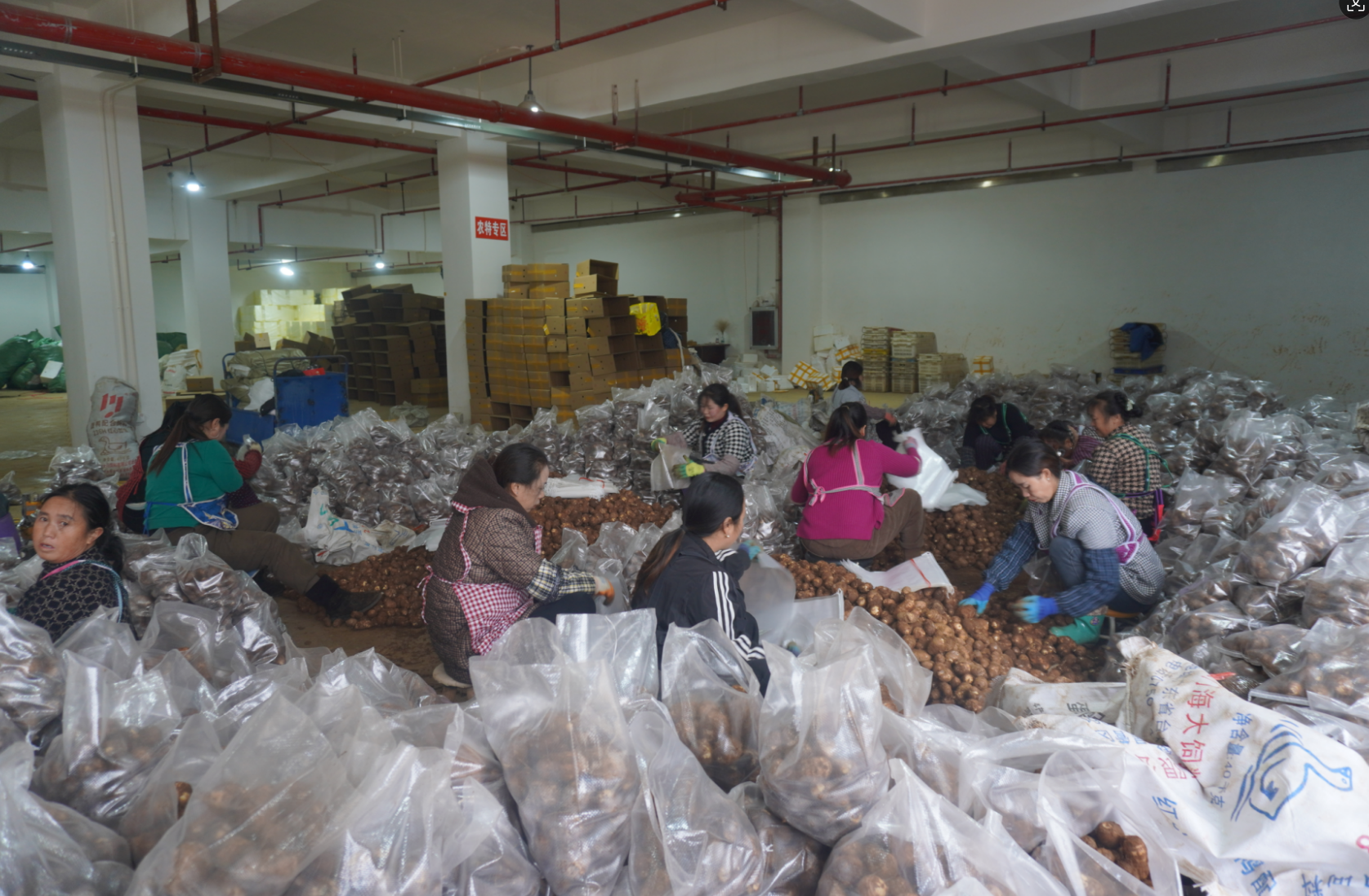 17647699887174.png ScreenShot_2025-12-03_215031_629.png