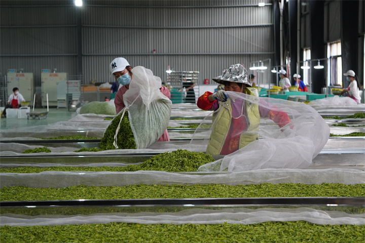 17649155231194.jpg DSC05511.jpg