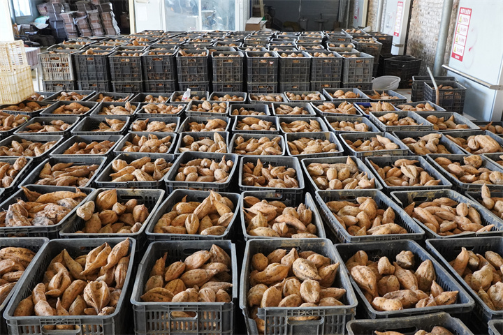 17649155159065.jpg 3094187ef8984e5f8a745959bb26efc.jpg