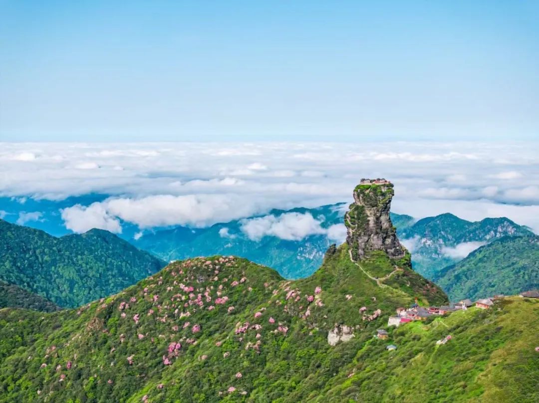 dD0xNzY0OTAzMjI1X3I9NzYwNGUyNGJfdz0xMDgwX3E9MTAwX2U9anBn.webp WechatIMG480.jpg