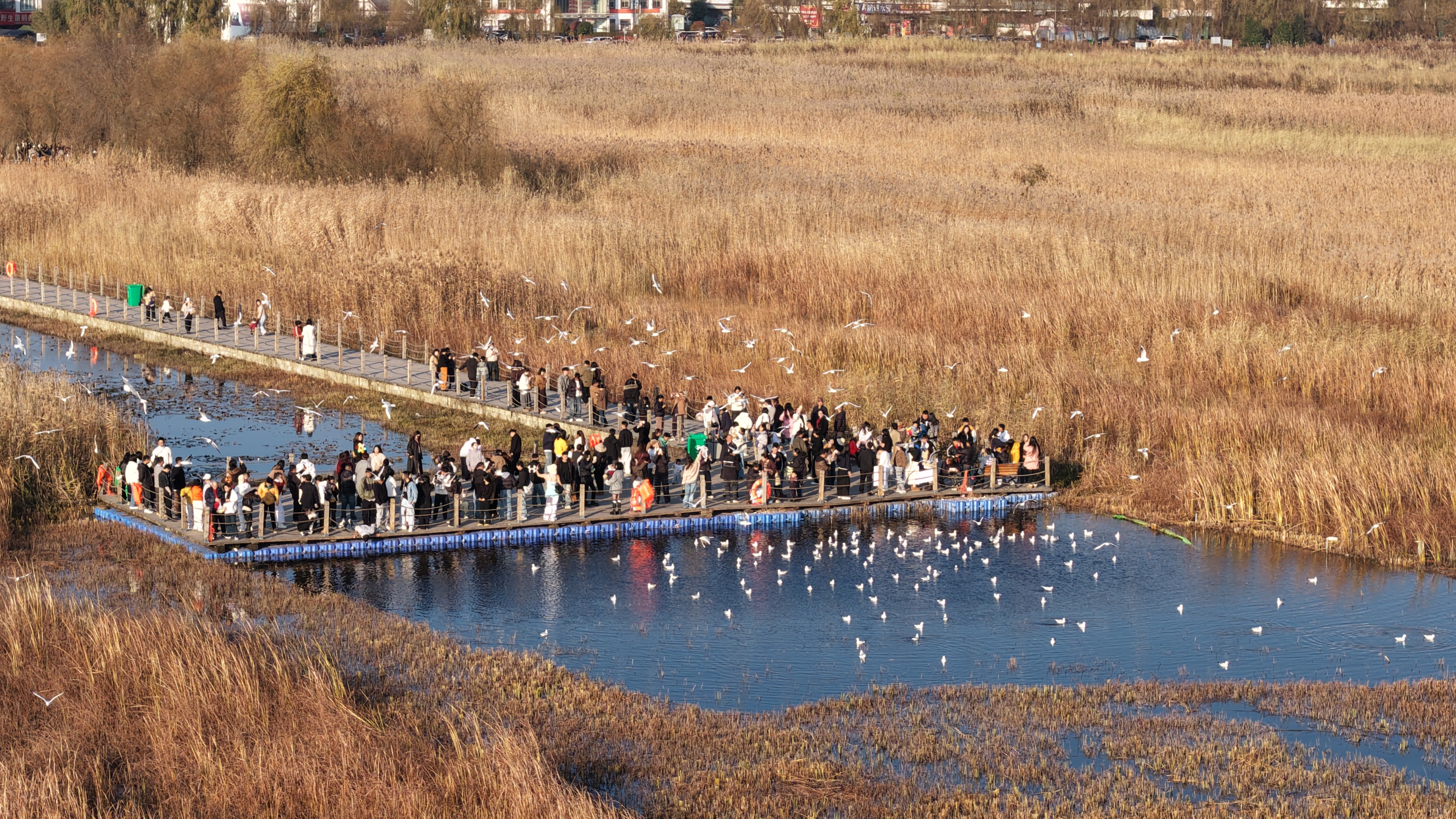 17650104467012.jpg 微信图片_20251202173237_77_275.jpg