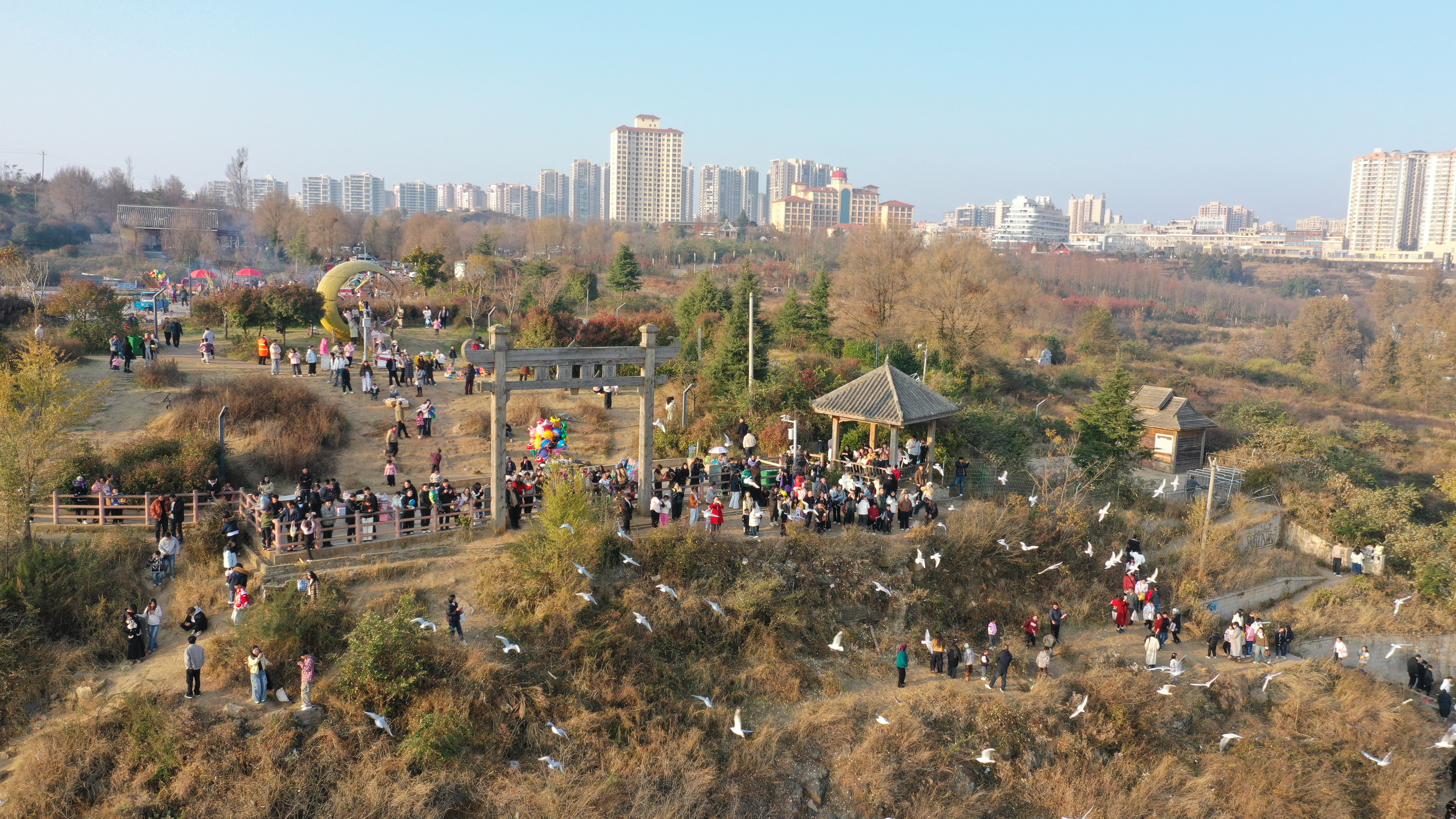 17650106069729.jpg 11月31日,群众在观景台上观看红嘴鸥.jpg