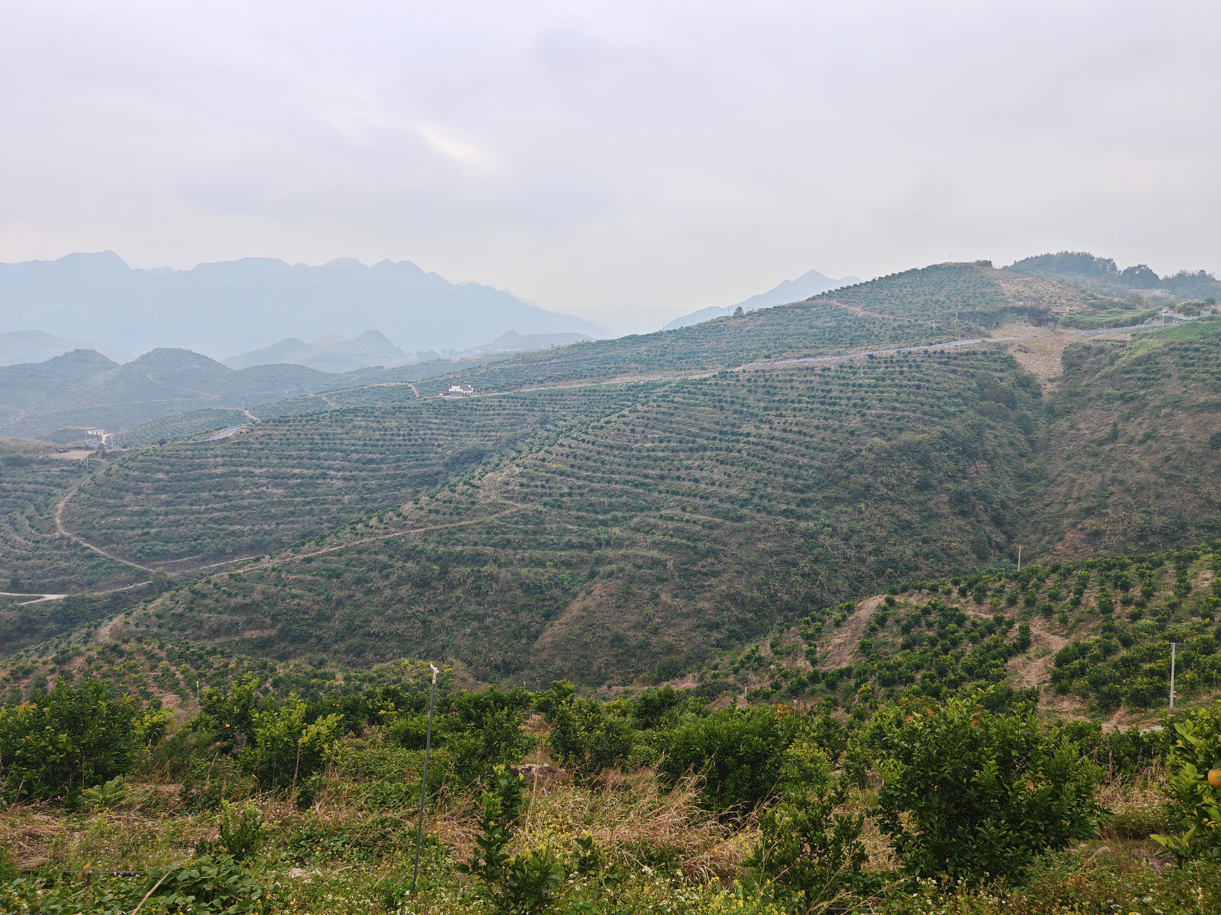 17650985863995.jpg IMG_20251203_143327.jpg