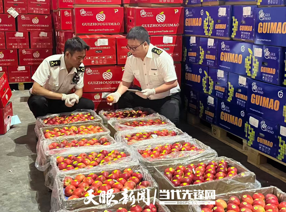 17634447472504.png 微信图片_20251013195413_497_61.png