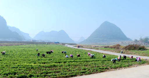 17652947737511.png image.png