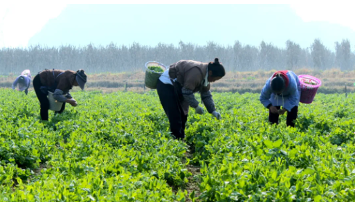 17652947865745.png image.png