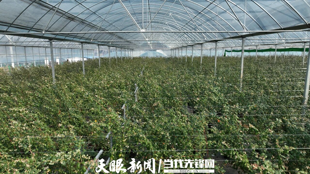 17653706563261.jpg 微信图片_2025-12-10_204017_351.jpg