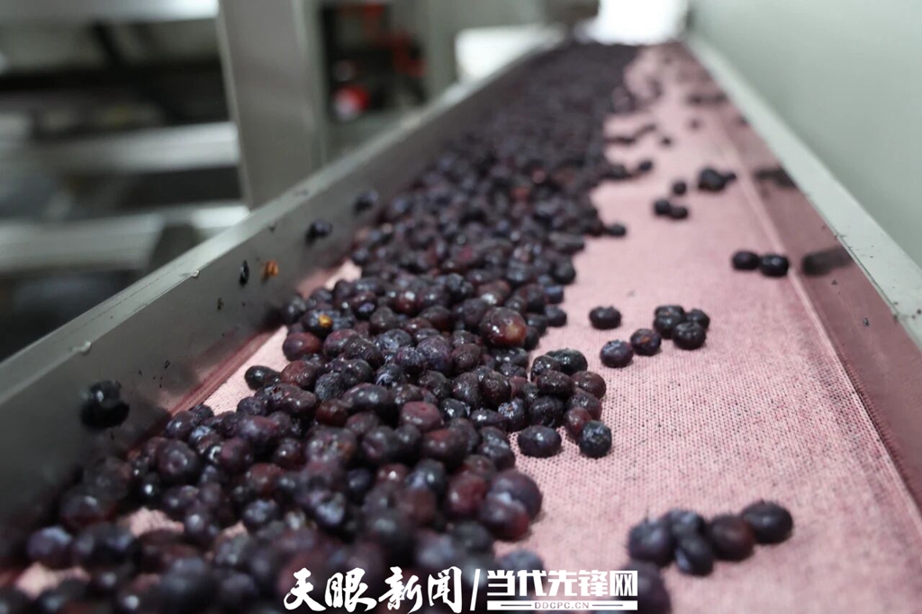 17653706627993.jpg 微信图片_2025-12-10_204051_163.jpg