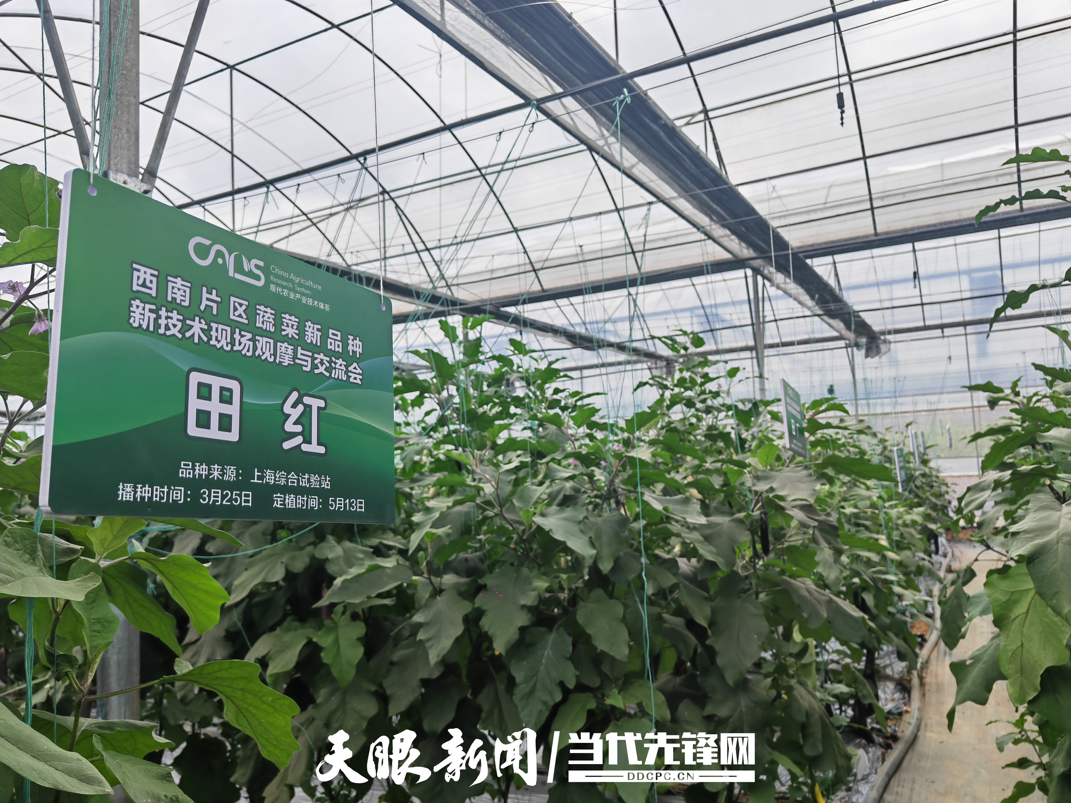 dD0xNzY1NTA0NDEyX3I9M2QyYjE1MWJfdz0xMDgwX3E9MTAwX2U9anBn.webp 17583630819005.jpg