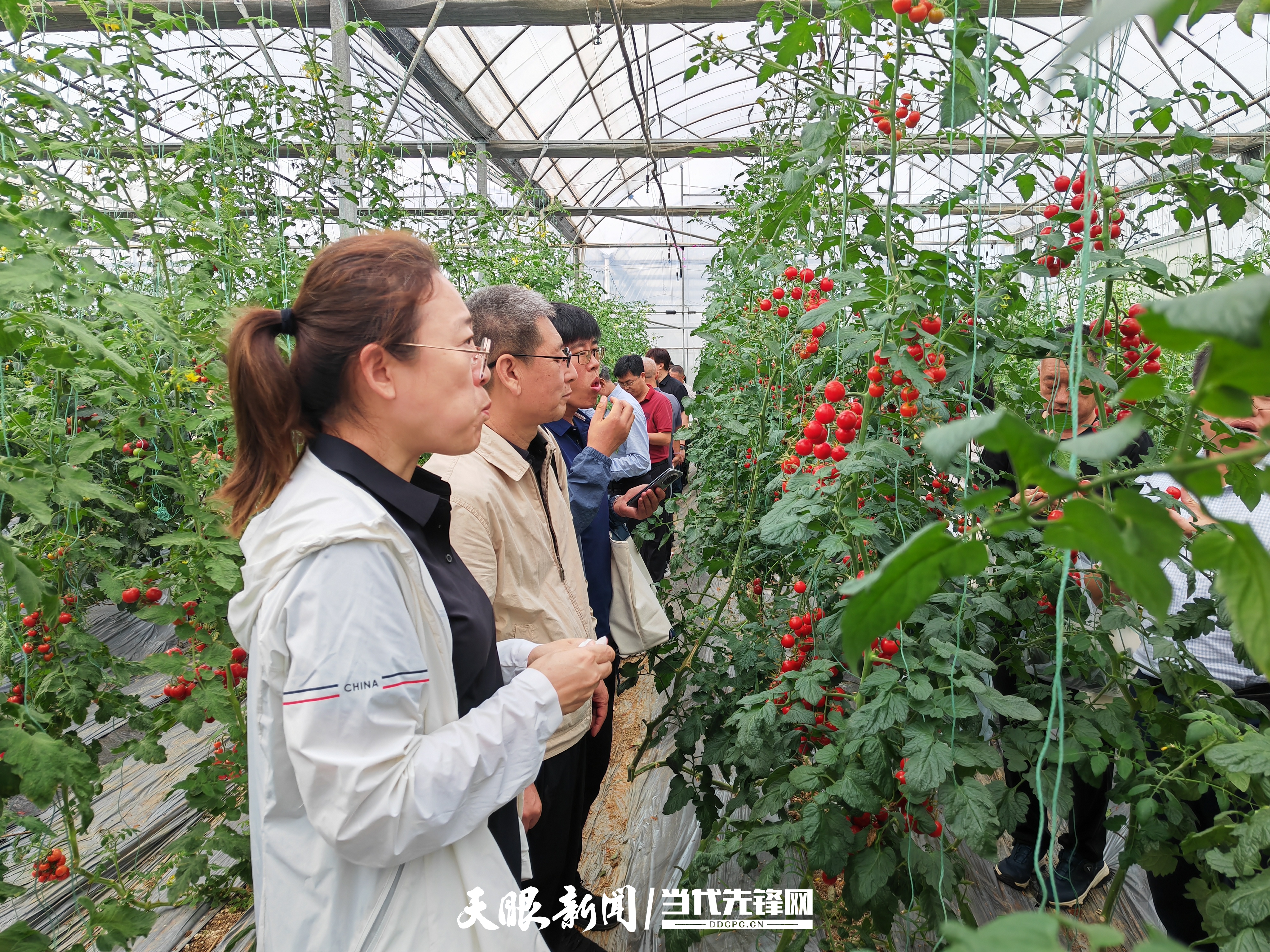 dD0xNzY1NTA0NTM4X3I9M2UxYWQwMzJfdz0xMDgwX3E9MTAwX2U9anBn.webp 17562054614562.jpg