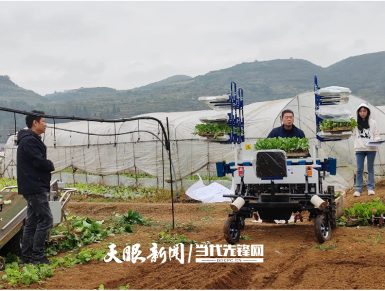 dD0xNzY1NTAzNTQwX3I9NDQ2NGE2ZTBfdz01NjJfcT0xMDBfZT1wbmc=.webp W020251029331468766222_ORIGIN.png