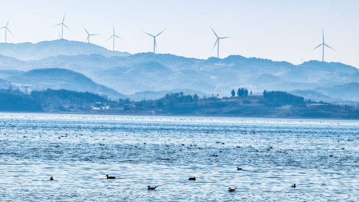 dD0xNzY1NjcwNDEzX3I9MjRlMmUwZThfdz02OTlfcT0xMDBfZT1wbmc=.webp image.png