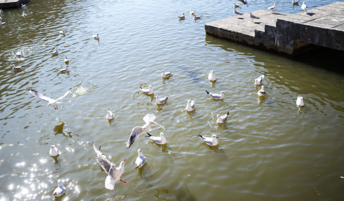 dD0xNzY1NjcwNDI2X3I9YWMxZjRjMDVfdz02OTlfcT0xMDBfZT1wbmc=.webp image.png