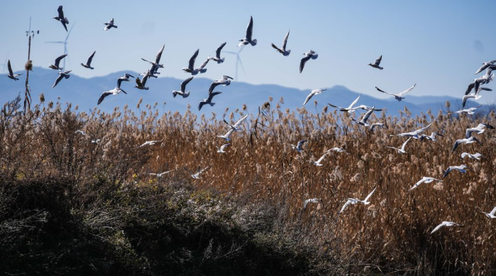 dD0xNzY1NjcwNDQxX3I9ODcxZjNjNmZfdz02OTlfcT0xMDBfZT1wbmc=.webp image.png