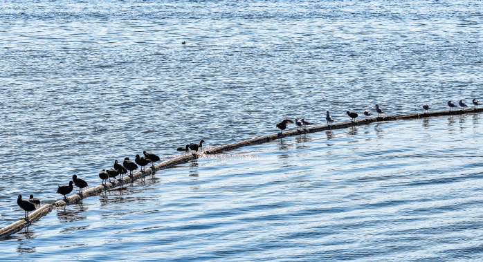 dD0xNzY1NjcwNDU1X3I9ZTg1OWM3ZTNfdz02OThfcT0xMDBfZT1wbmc=.webp image.png