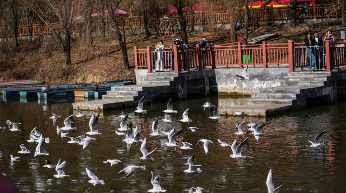 dD0xNzY1NjcwNDcxX3I9MzVmZDYwOGRfdz02OTdfcT0xMDBfZT1wbmc=.webp image.png