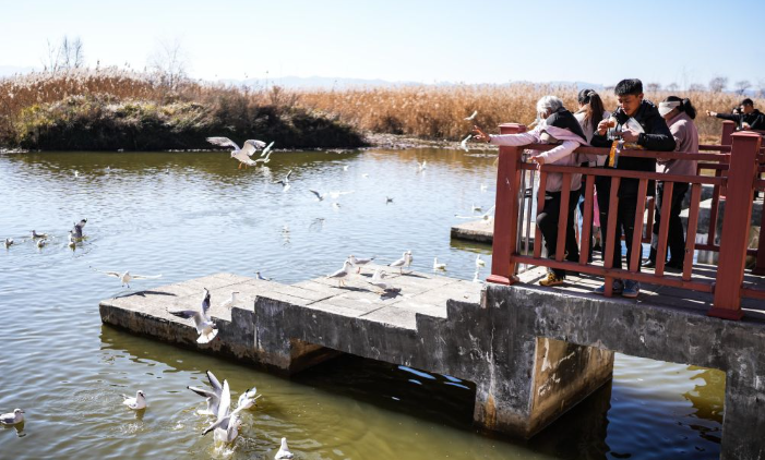 dD0xNzY1NjcwNDg2X3I9MTNiNGMzNjFfdz03MDFfcT0xMDBfZT1wbmc=.webp image.png