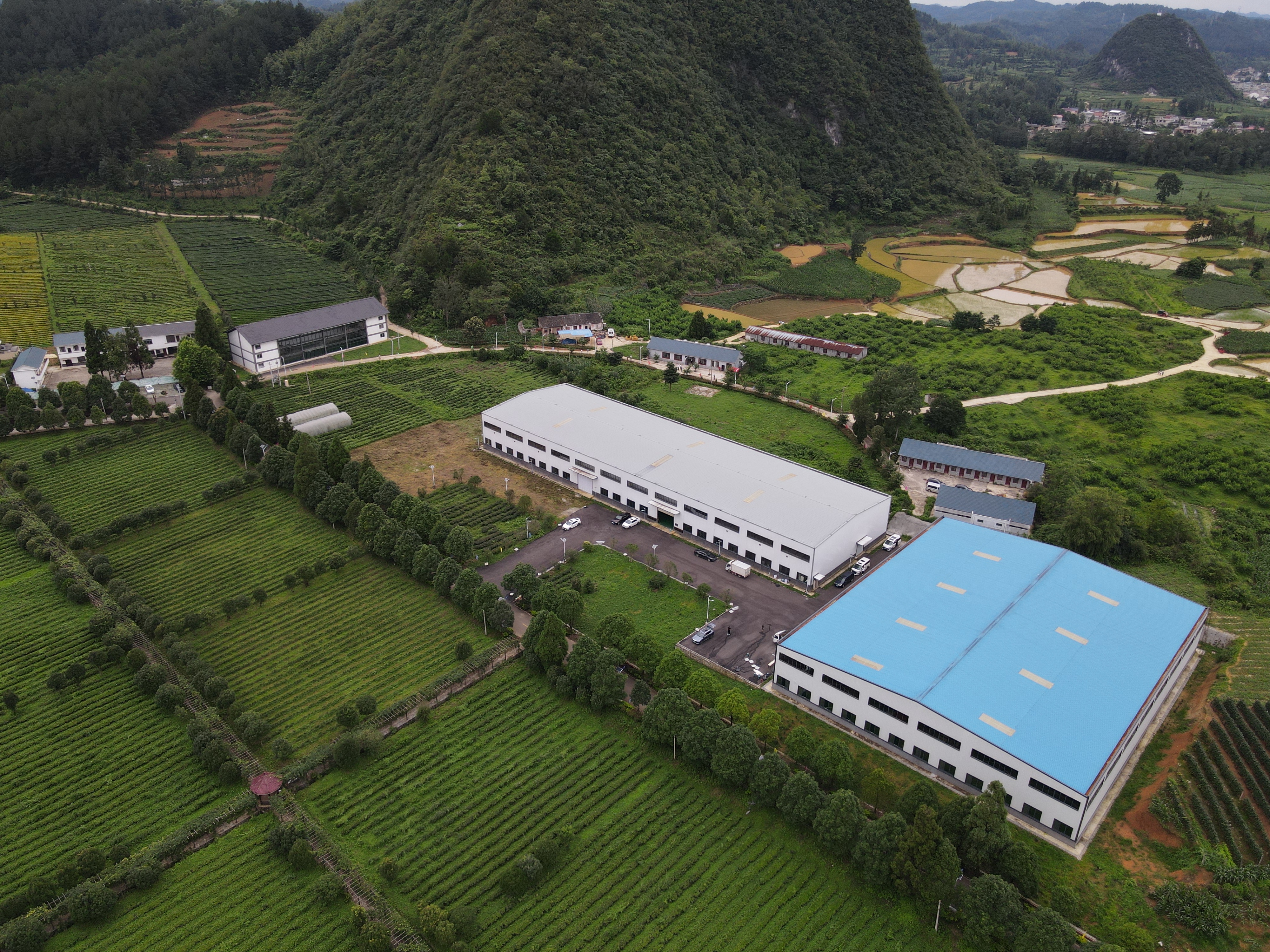 17657882235182.jpg 微信图片_20251215112408_23_1858.jpg