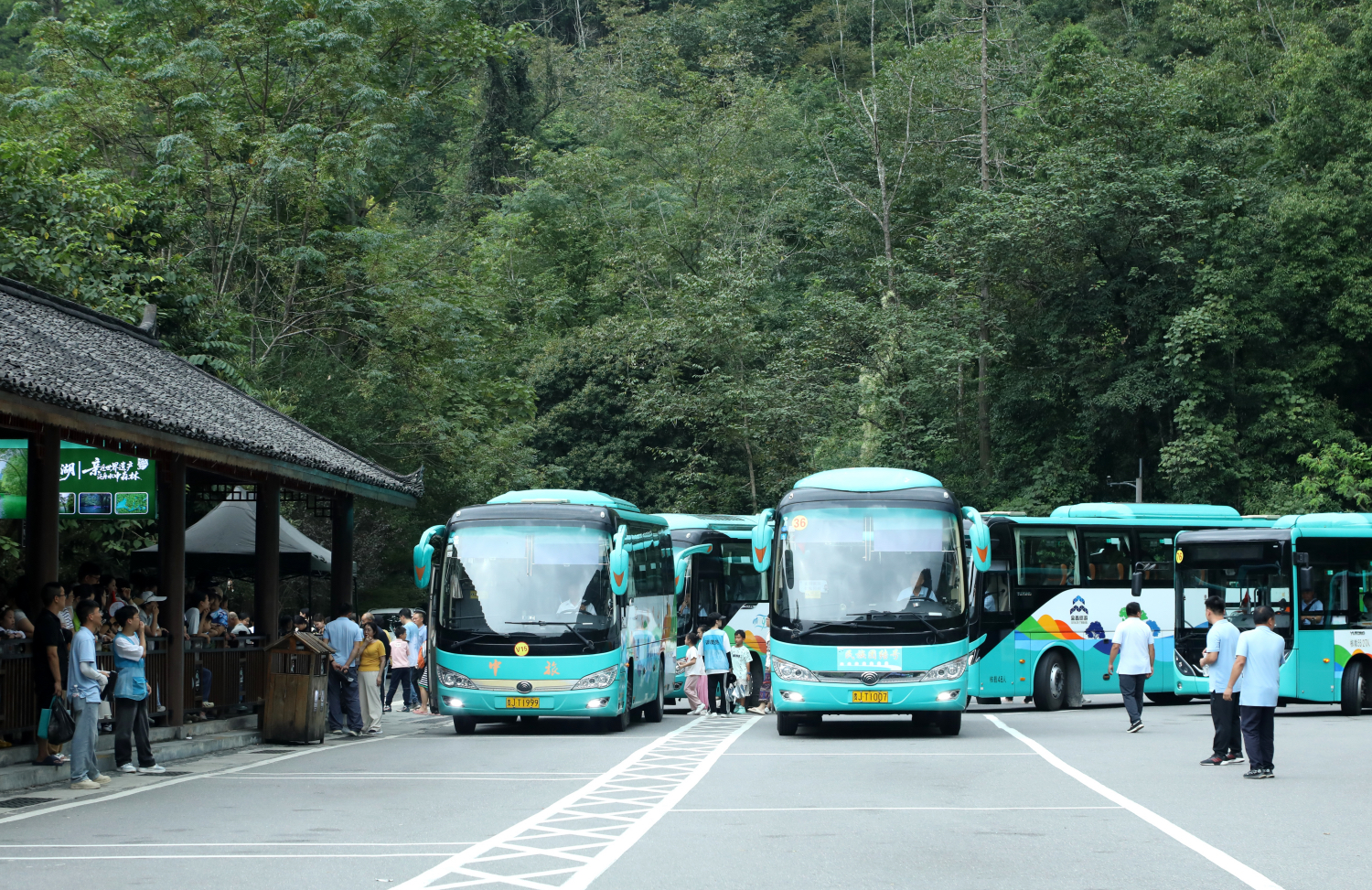 dD0xNzY1NzgwMTczX3I9ZWE1YWQ0NDJfdz0xMDgwX3E9MTAwX2U9anBn.webp 景区观光车高效运转_Fotor.jpg